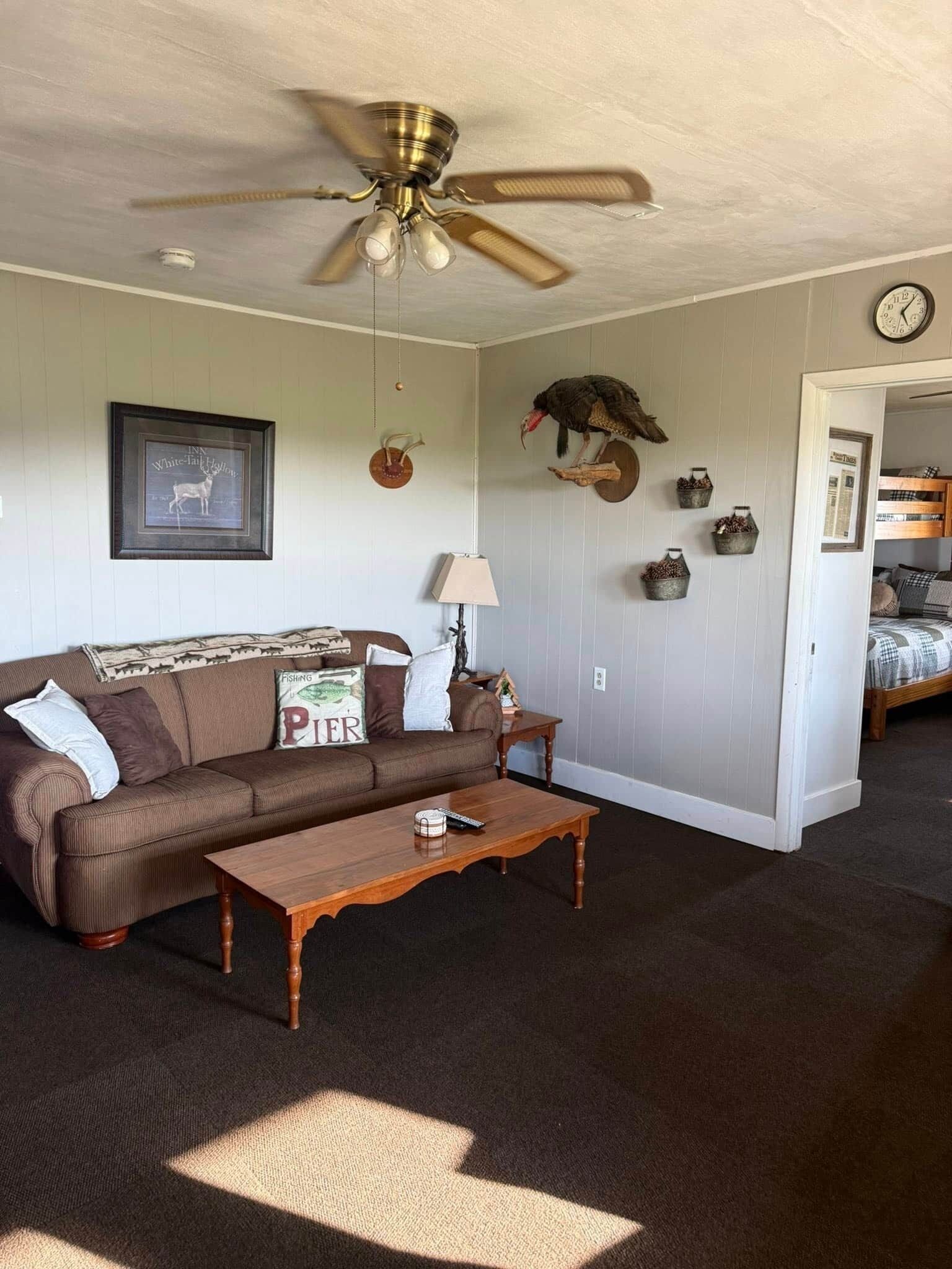 Smart TV, fireplace, DVD player, books