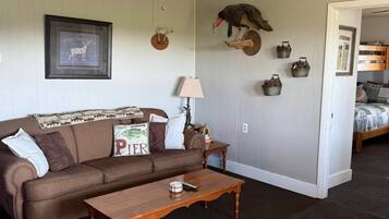 Smart TV, fireplace, DVD player, books