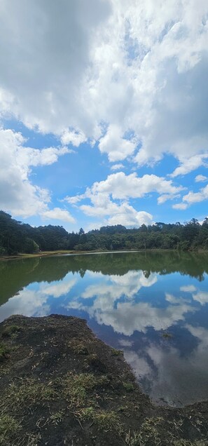 Ecotours - EROS (Medellín)