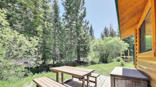 A wooden deck with picnic tables and a barbecue grill, surrounded by dense forest. - Fox Creek Cottage located in Panguitch Lake (Panguitch Lake)