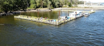Cozy cabin in adorable Genoa with AC, WiFi pet friendly and close the river.