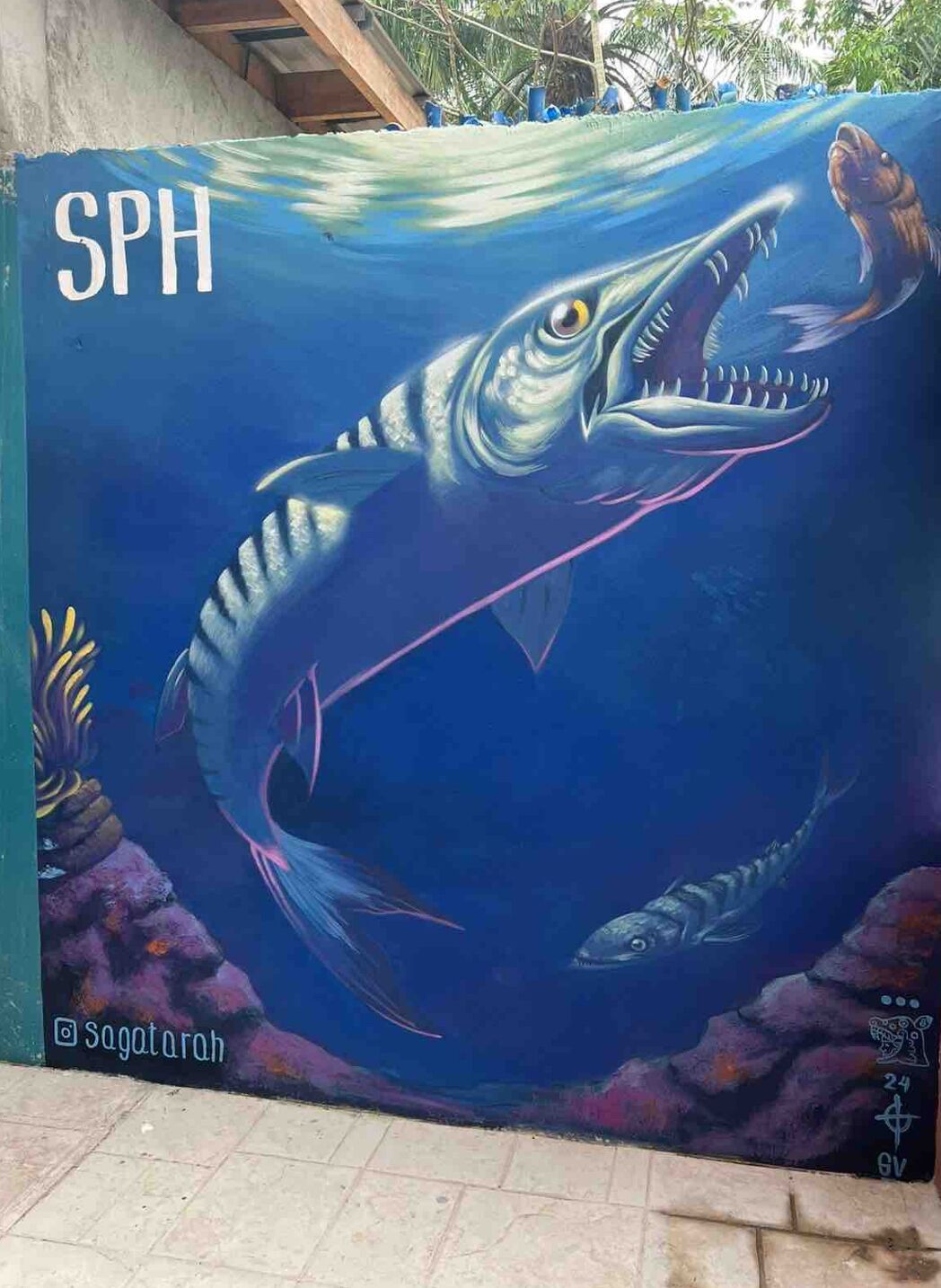 Un mural de una tiburón con las letras 'SPH' en una pared.