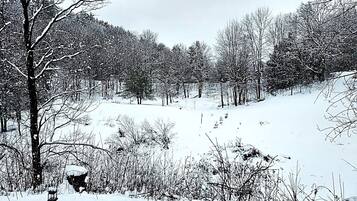 A snowy landscape with trees and a bird feeder.