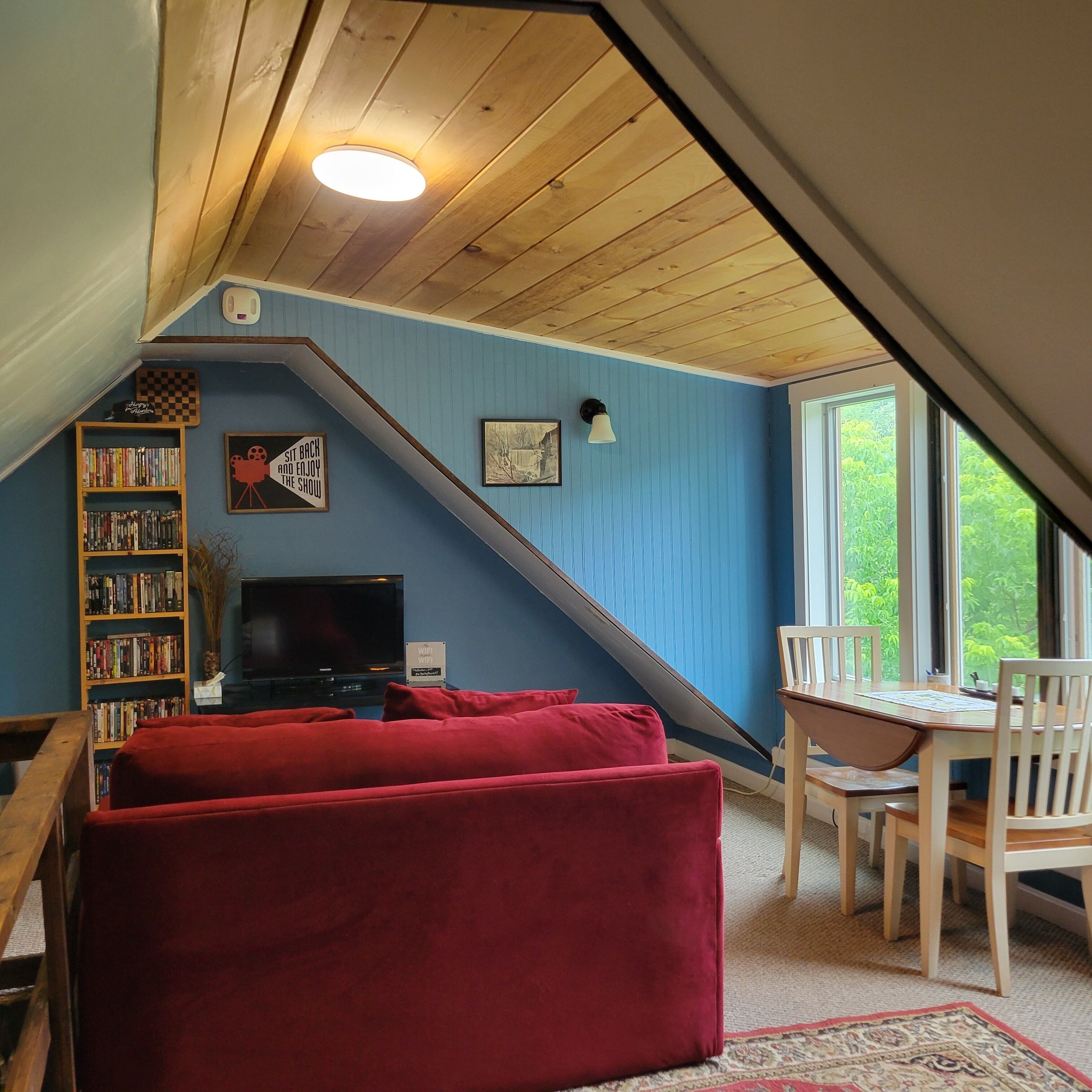 Smart TV, video games, DVD player, books