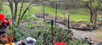 Serene and airy space at the end of a wooded lane in Owls' Head Maine.