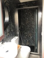 Hair dryer, soap, shampoo, toilet paper