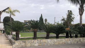 A paved walkway with palm trees and a stone wall. - HOTEL SERENA (Naples)