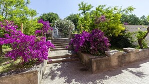 A set of concrete steps leading up to a gated entrance, surrounded by vibrant purple bougainvillea plants. - Villa Oliva Vilea in Sveta Marina  - Haus für 8 Personen (Labin)