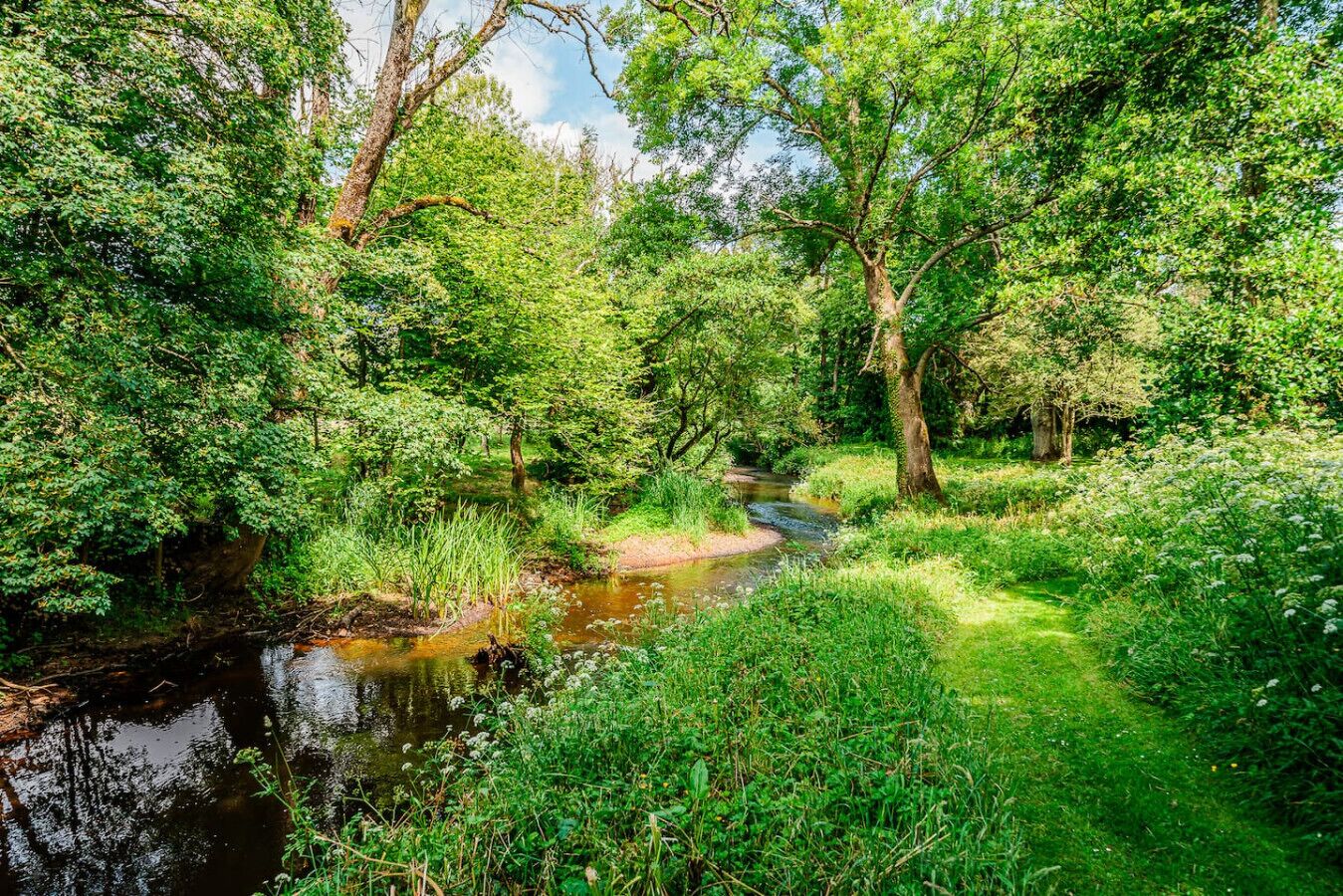 Een vredige pad langs de rivier, omringd door weelderig groen en bomen.