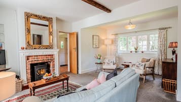 Télévision, cheminée, chaßne hi-fi