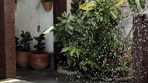 A swimming pool with water jets spraying upwards, surrounded by potted plants and a stone wall. -  Peixe Crew Centro (Búzios)