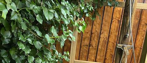 A wooden fence, a garden with white pebbles, and a black mat.