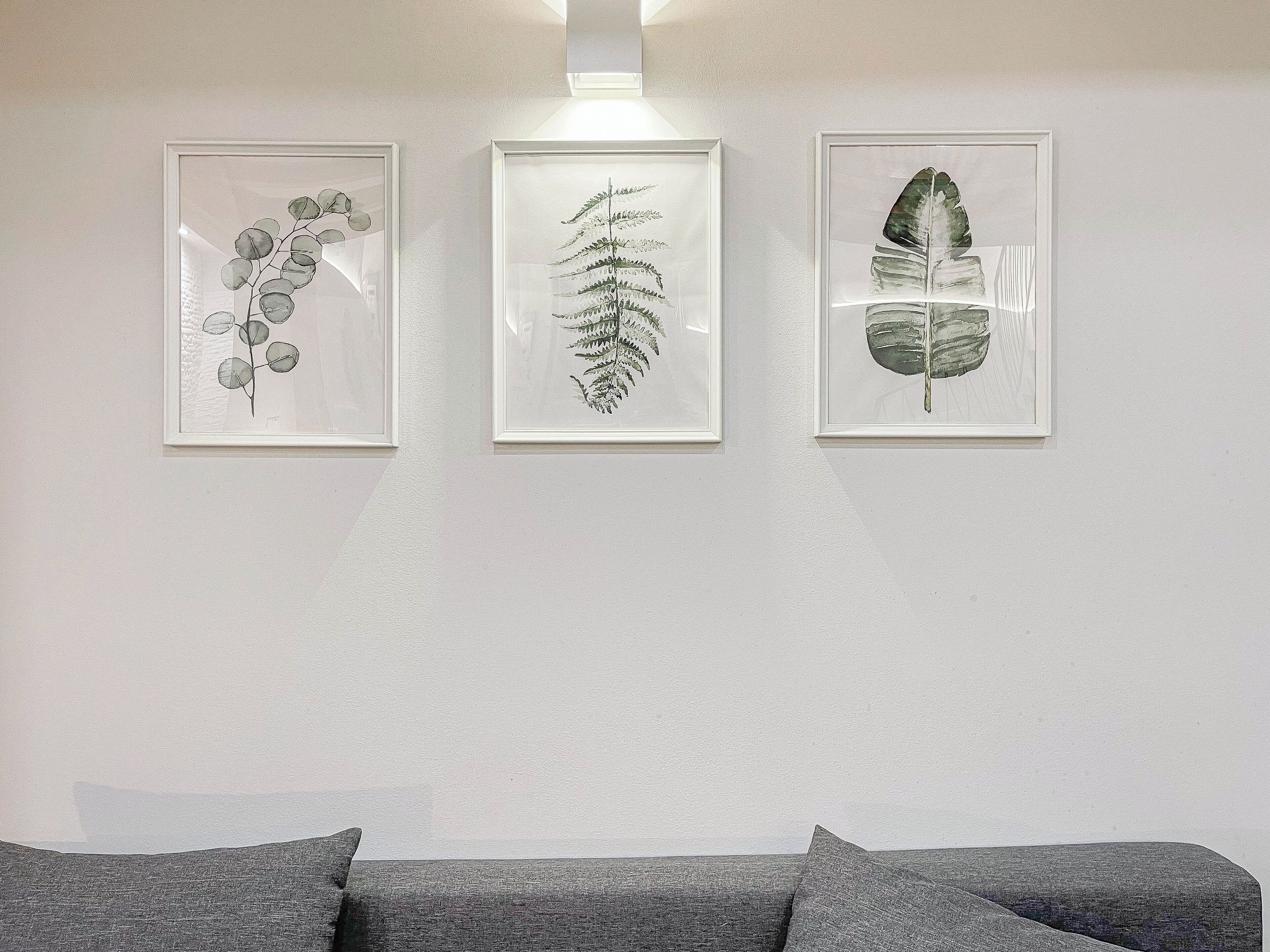 Three framed botanical prints on a wall.