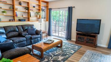 Smart TV, fireplace, DVD player, books