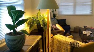 Una televisión, libros