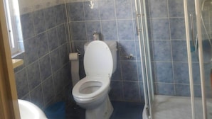 A bathroom with a toilet, a shower enclosure, and blue-tiled walls. - Village house in central Corsica very close to Corte and its University  (Omessa)