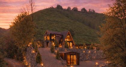 Paradise Valley Bungaalow