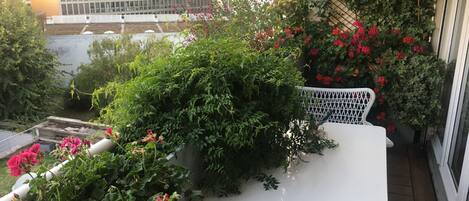 テラス / パティオ