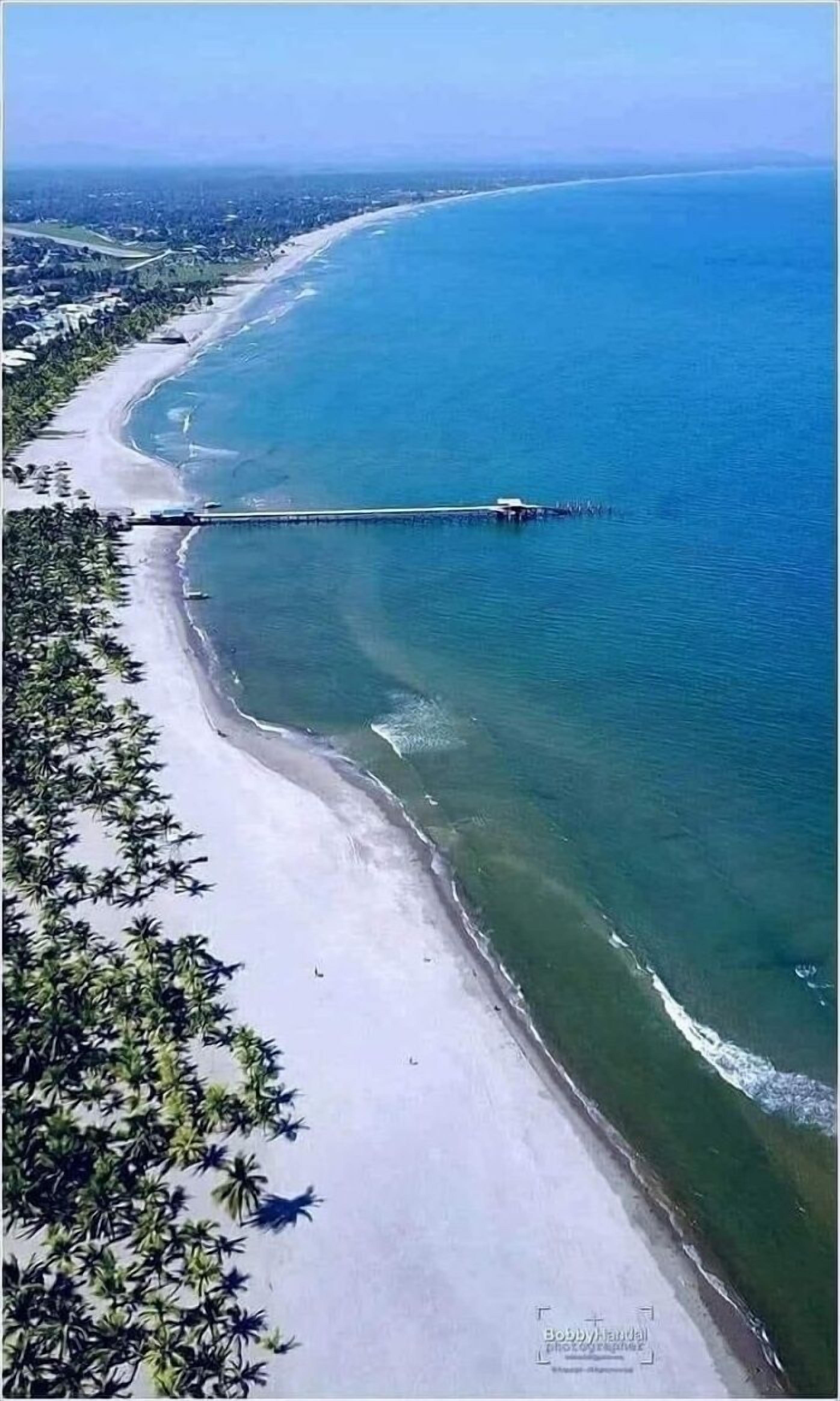 An aerial view of a beach with a long pier extending into the ocean, surrounded by dense palm trees and a clear sky.