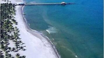 An aerial view of a beach with a long pier extending into the ocean, surrounded by dense palm trees and a clear sky.