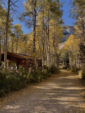 Property grounds - Crowsnest River Chalet - Wolf’s Den (Crowsnest Pass)