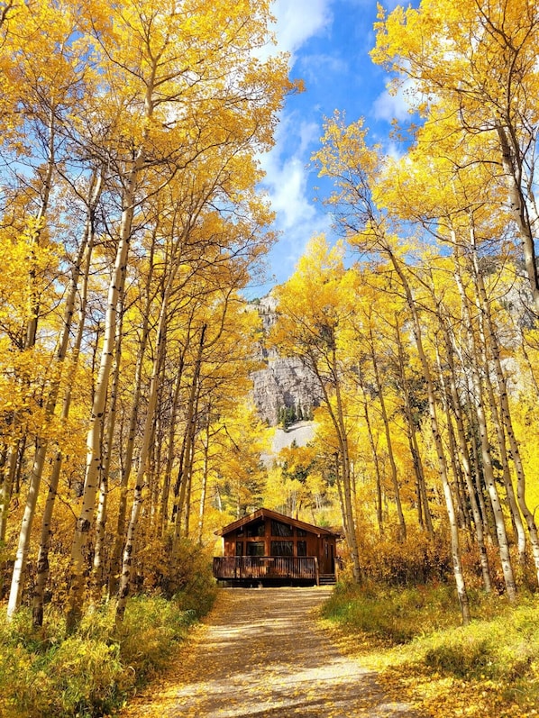 Exterior - Crowsnest River Chalet - Wolf’s Den (Crowsnest Pass)