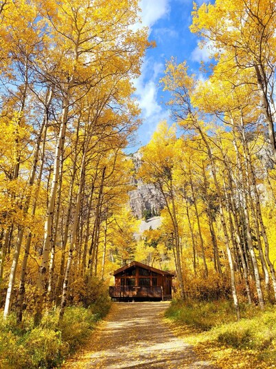 Crowsnest River Chalet - Eagle
