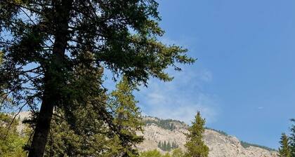 Crowsnest River Chalet - Yeti