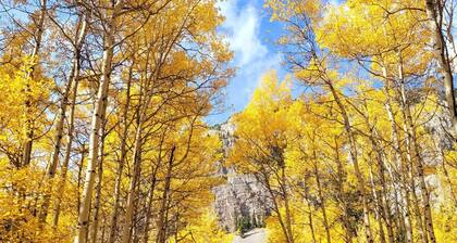 Crowsnest Rover Chalet - Grizzly