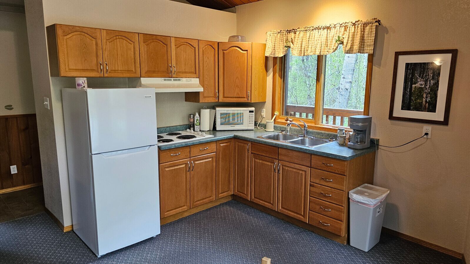 Fridge, microwave, stovetop, coffee/tea maker