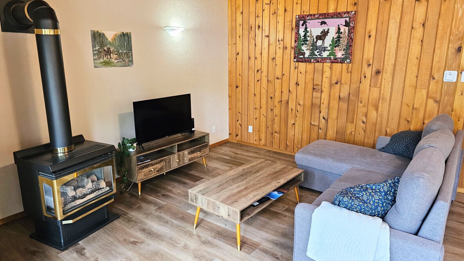 TV, fireplace
