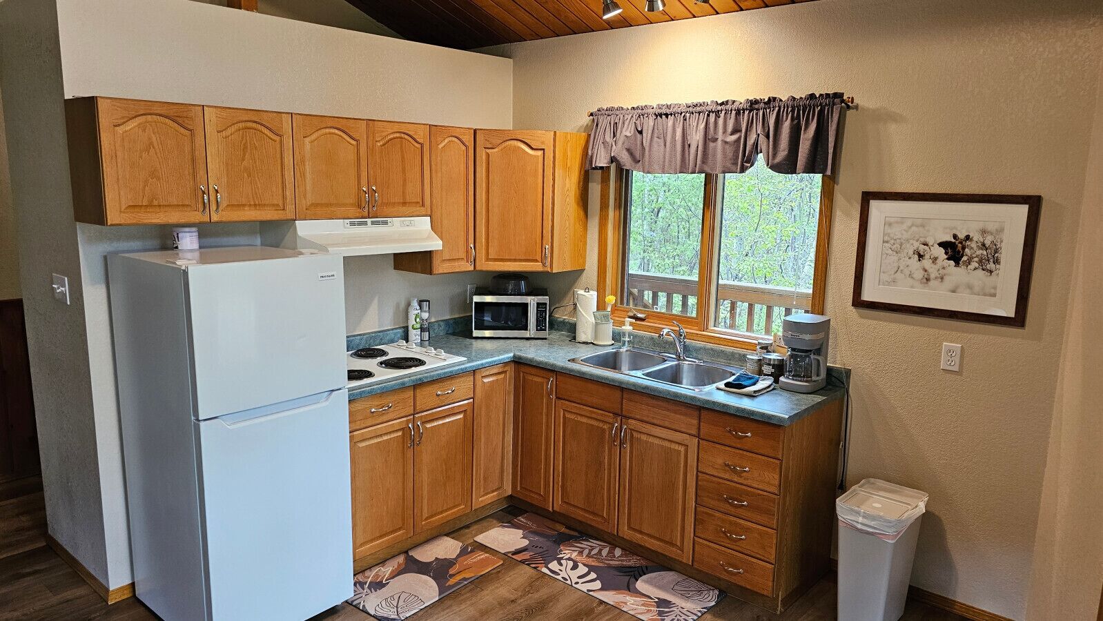 Kjøleskap, mikrobølgeovn, kokeplater og kaffetrakter/tekoker