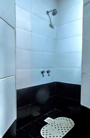 Shower, bidet, towels, soap