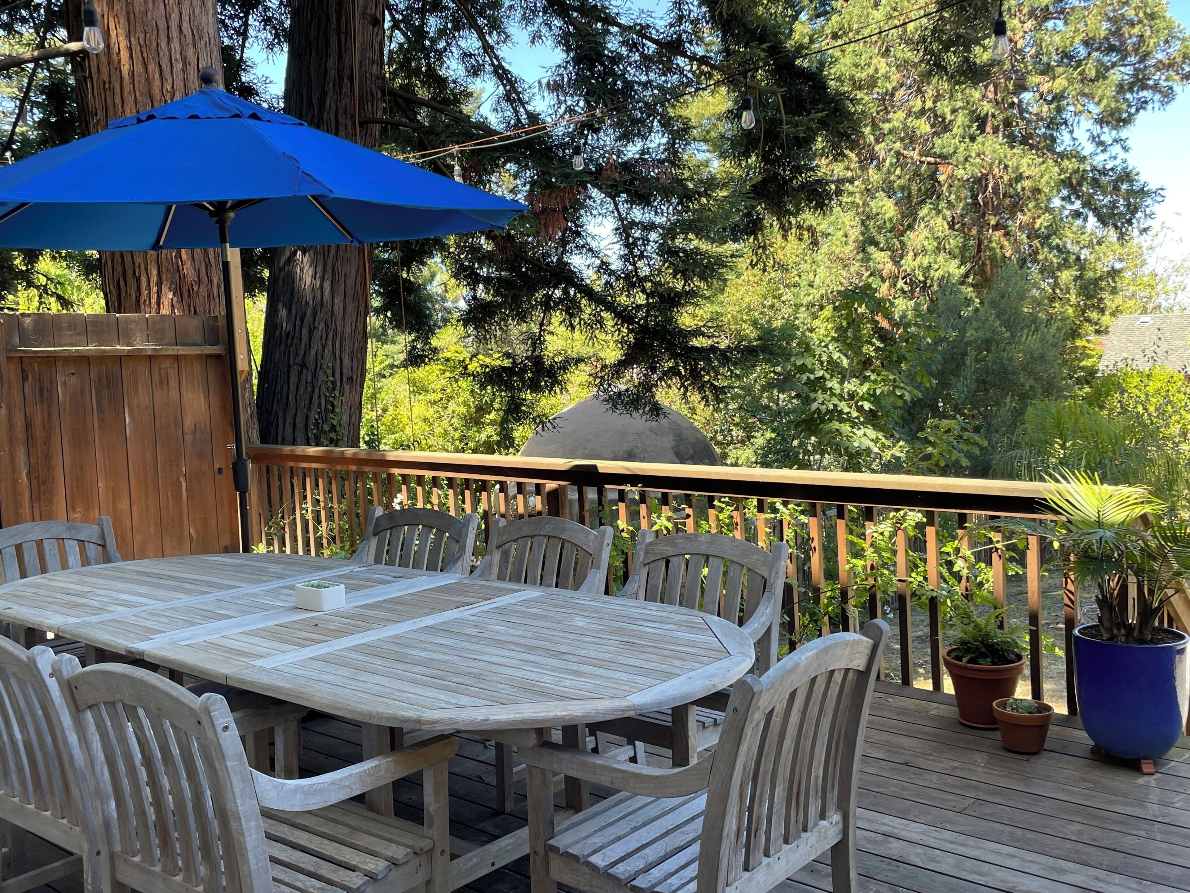 Beautiful, large Berkeley home near Gourmet Zone
