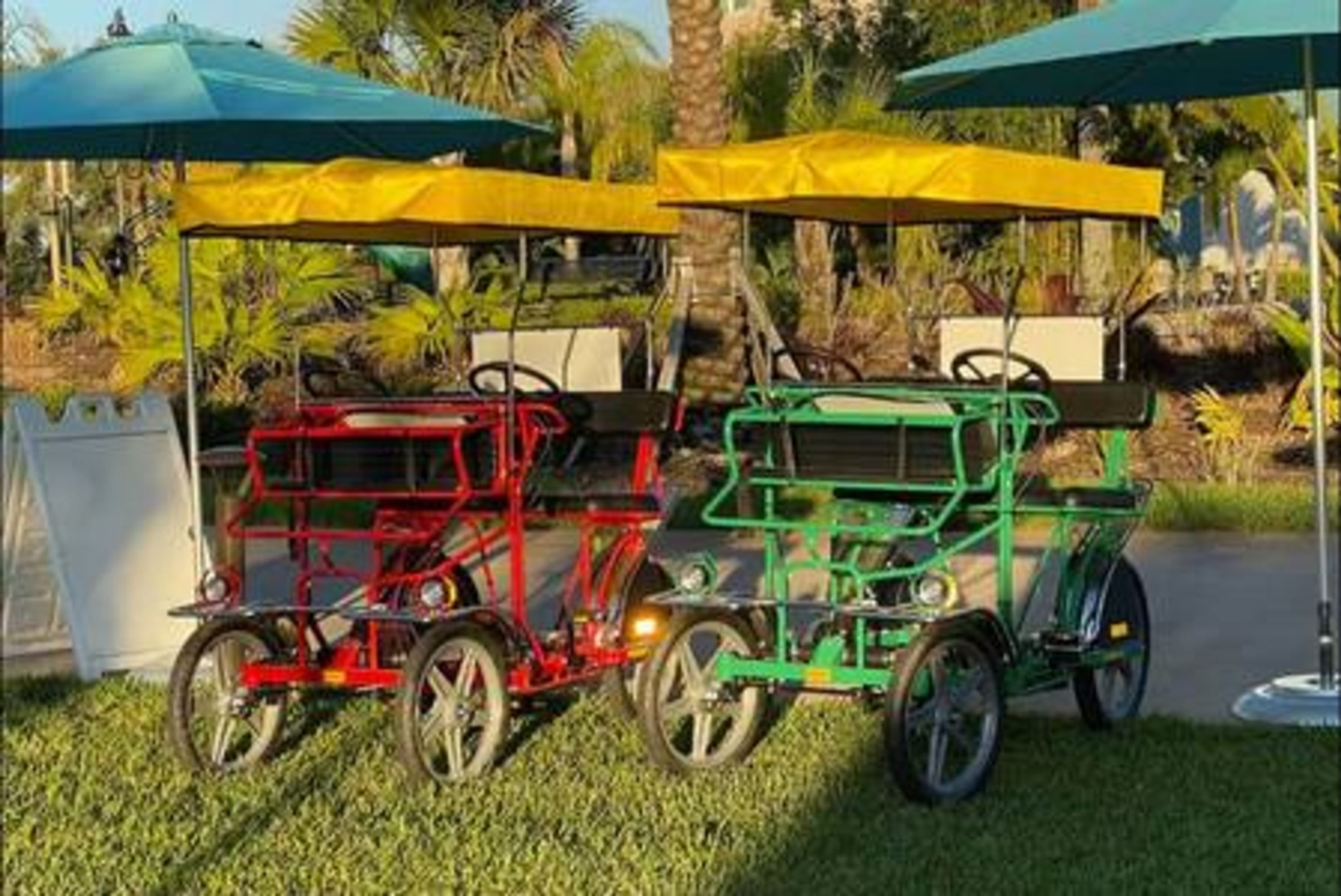 Two small, green and red carts with yellow canopies, parked on grass with palm trees in the background.