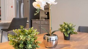 Une table à manger ornée d’une orchidée en pot, d’une fougère en pot et d’une petite plante.