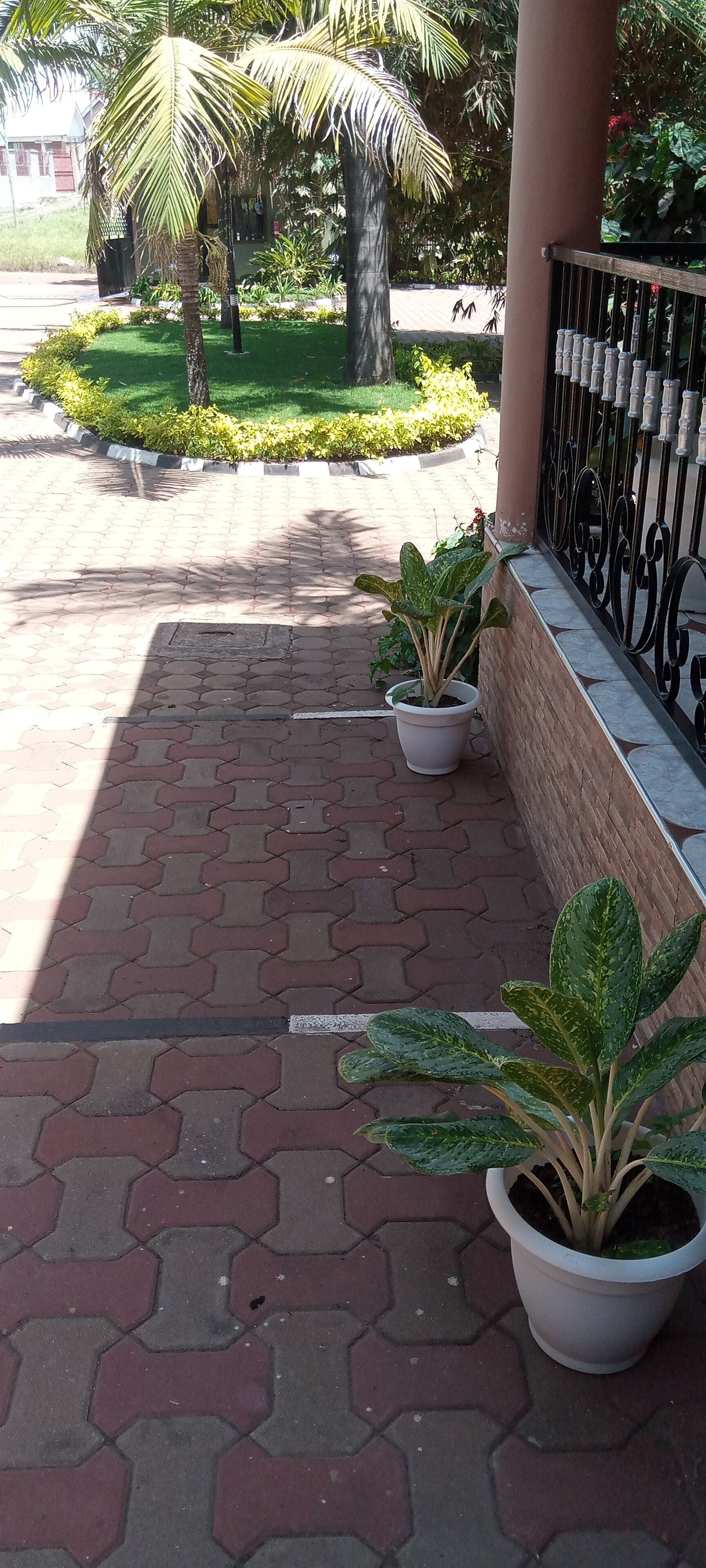 Uma passarela pavimentada com plantas em vasos e uma grade de metal.