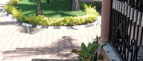 A paved walkway with potted plants and a metal railing.