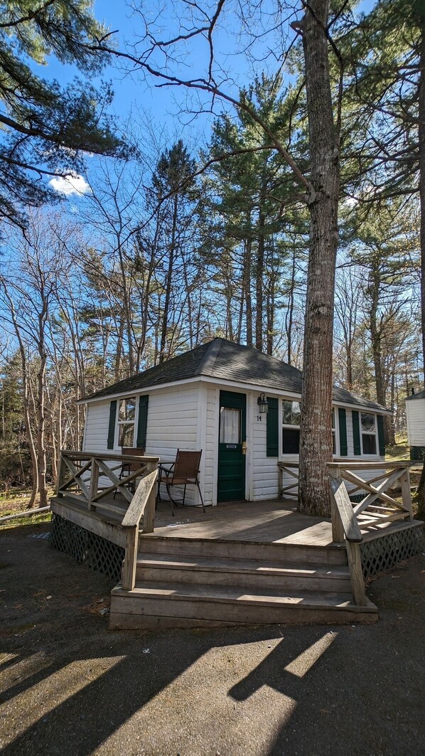 Exterior - Cabin surrounded by Lustrous Pine trees_Cabin 14 (Bar Harbor)