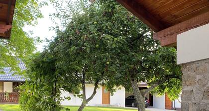 Cozy house in nature with 3 bedrooms