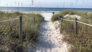 A sandy beach path leading to the ocean, surrounded by grass and wildflowers. - Dolphin Days Lagoon Escape (Panama City)