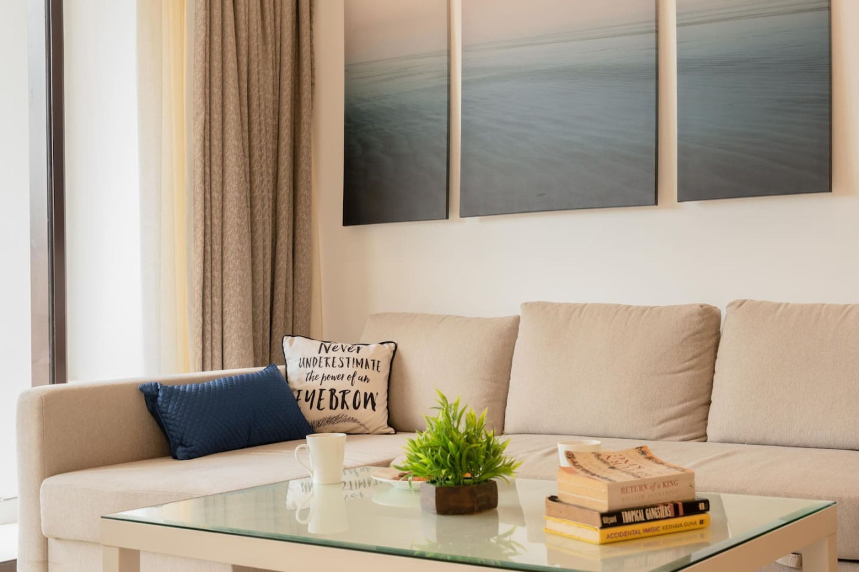 A living room with a beige sofa, a glass coffee table, a blue pillow, a small plant, and a stack of books.
