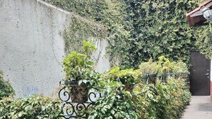 Un stretto sentiero in cemento, delimitato da fitta vegetazione verde e un cancello in metallo.