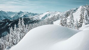 A snow-covered mountain landscape with dense forests and clear skies. - Haus Katharina - Dorfblick (Kaprun)