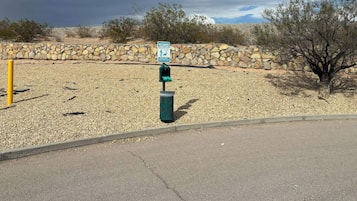 Pet-friendly amenities