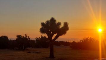 A desert landscape with a single palm tree silhouetted against a sunset.