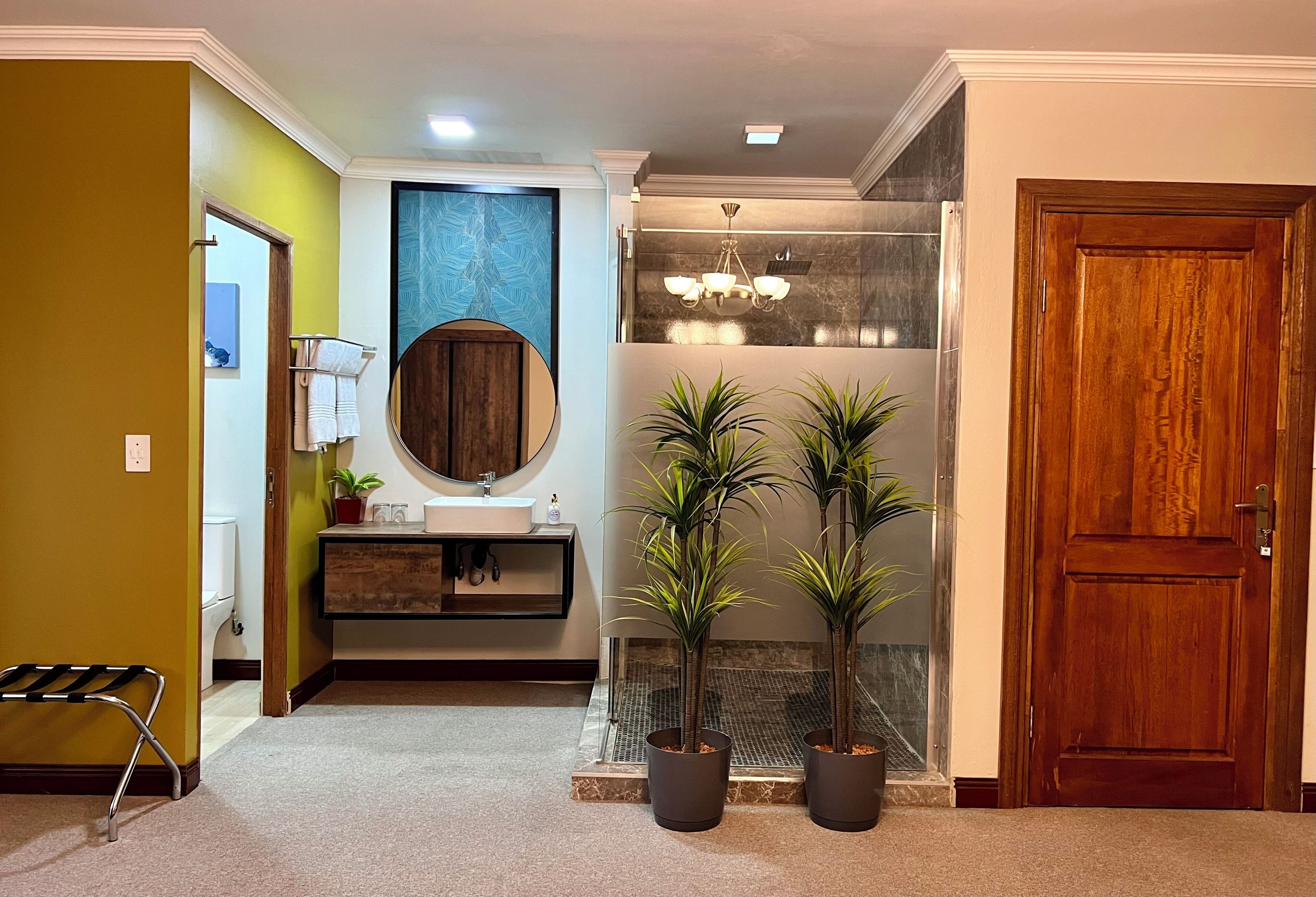 A bathroom with a wooden door, a mirror, a sink, and two potted plants.
