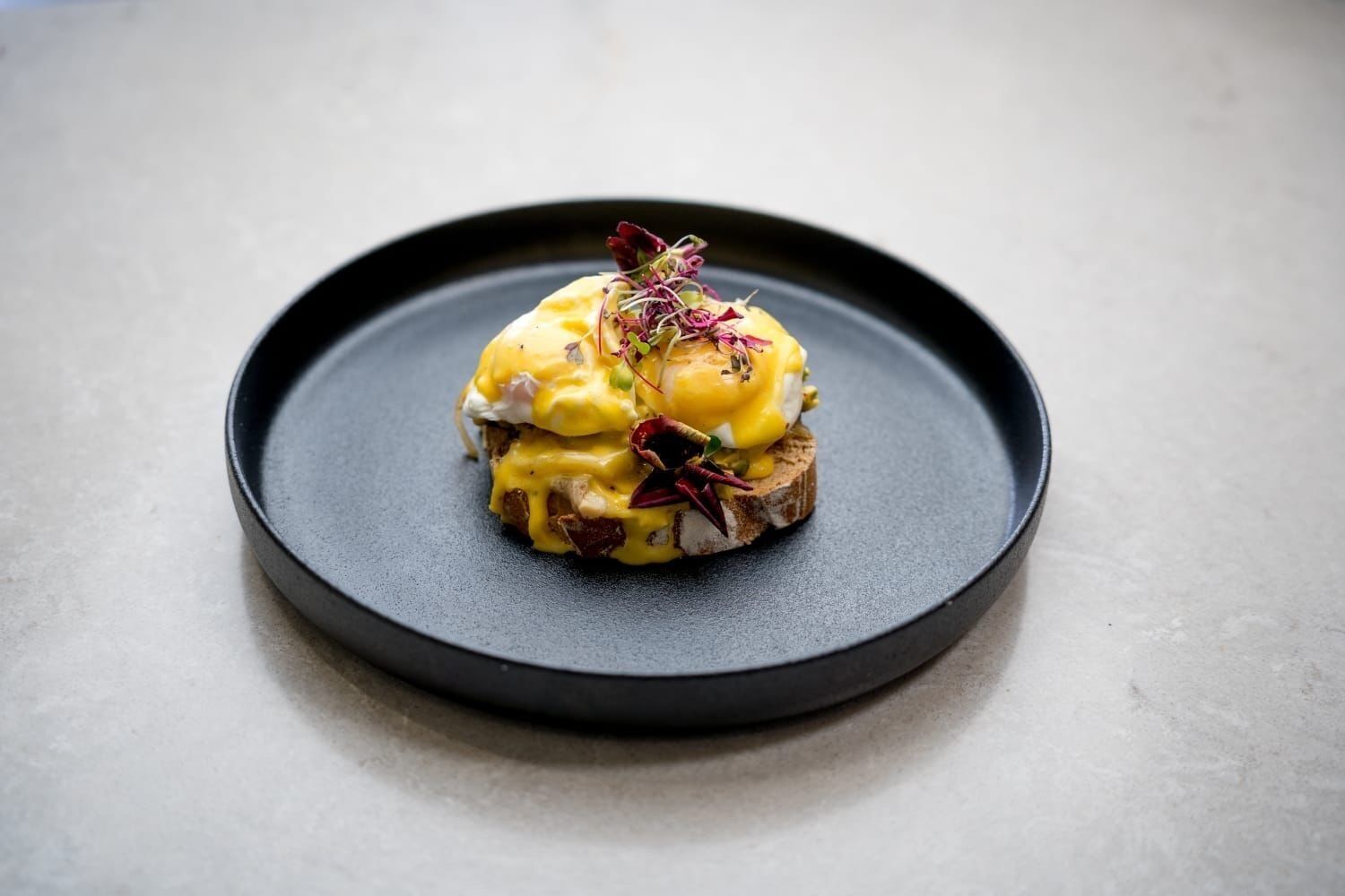 Un plato con un solo huevo benedictino.