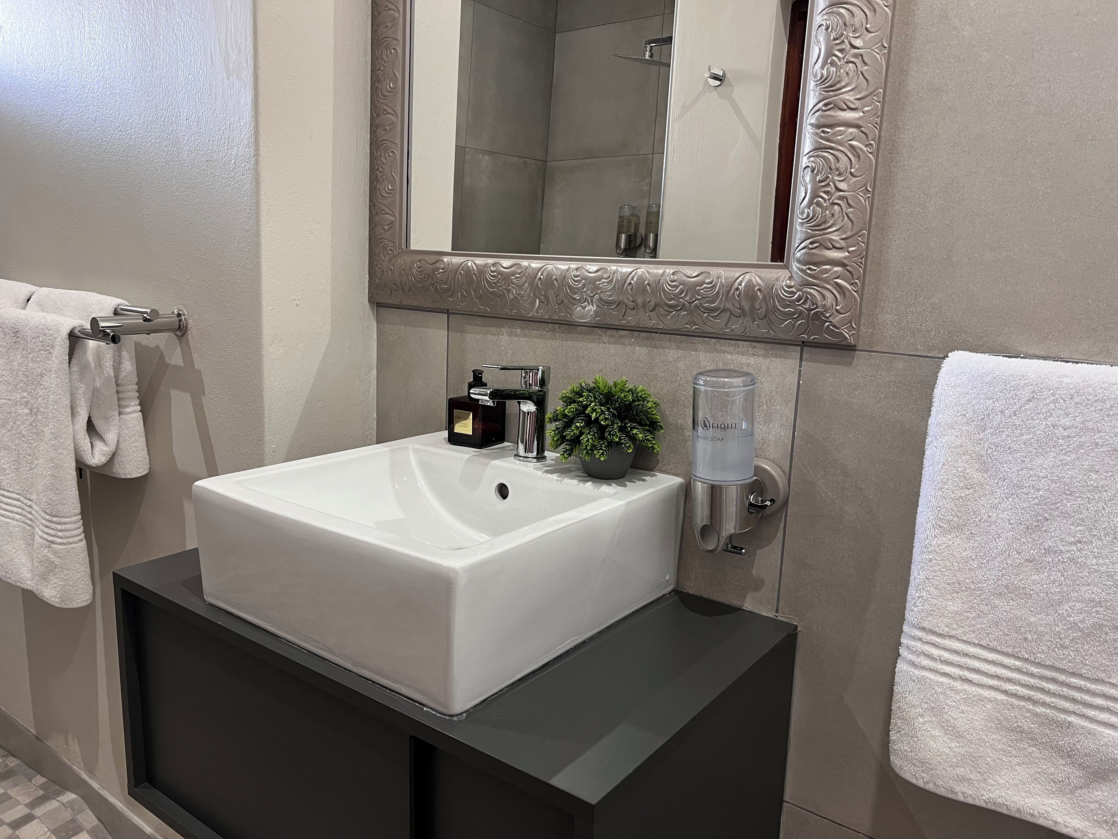 Een badkamer met een witte wasbak, een spiegel, een handdoekhouder, een zeepdispenser en een kleine plant in pot.