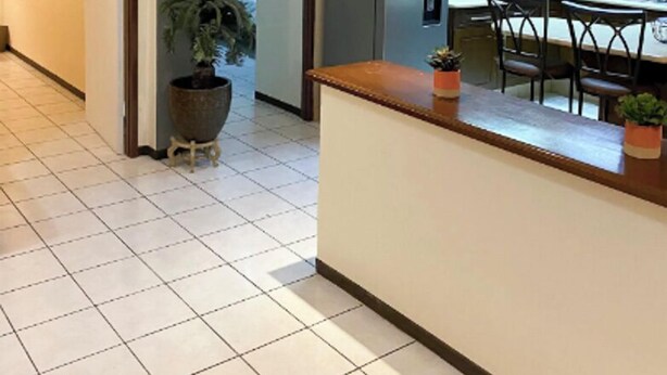 A spacious kitchen with a refrigerator, microwave, and wooden cabinets. There is a dining area with chairs and a table. A large potted plant is visible in the hallway. - New Apt in GDL Near Cathedral  (Guadalajara)